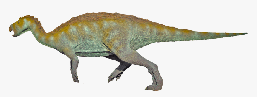 Iguanodon Png, Transparent Png, Free Download