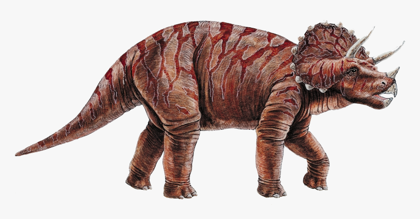 Triceratops Cretaceous Dinosaur Transprent Png Free - Triceratops Dinosaurs Png, Transparent Png, Free Download