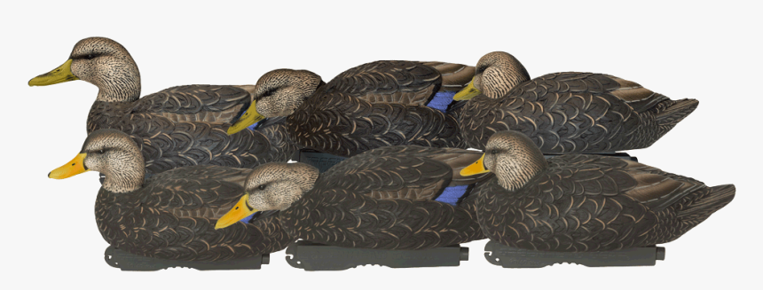 Avery Ghg Prograde Ffd Black Ducks, HD Png Download, Free Download