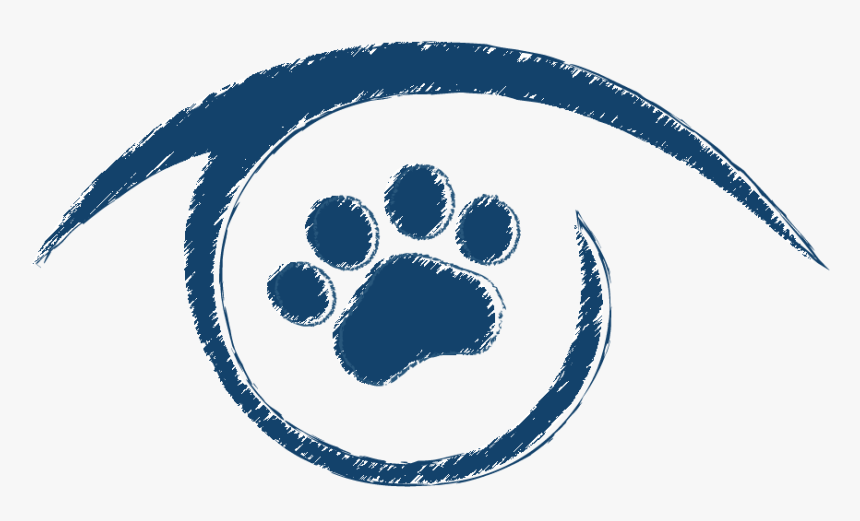 Animal Eye Clinic - Ophthalmology, HD Png Download, Free Download