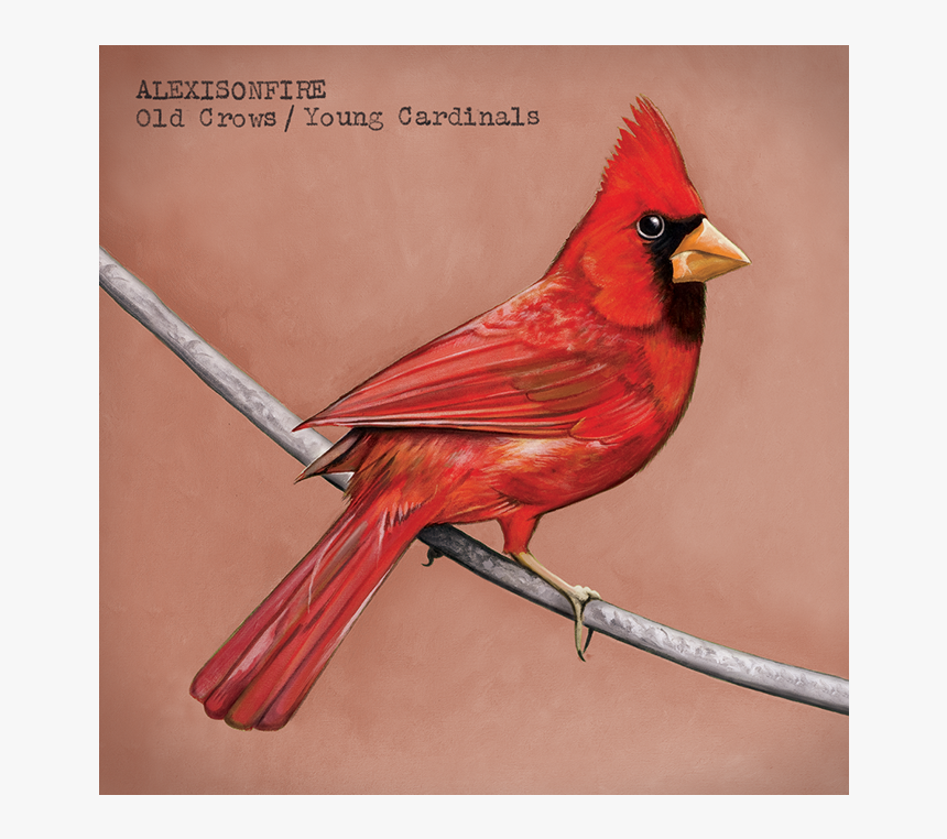 Alexisonfire Old Crows Young Cardinals, HD Png Download, Free Download