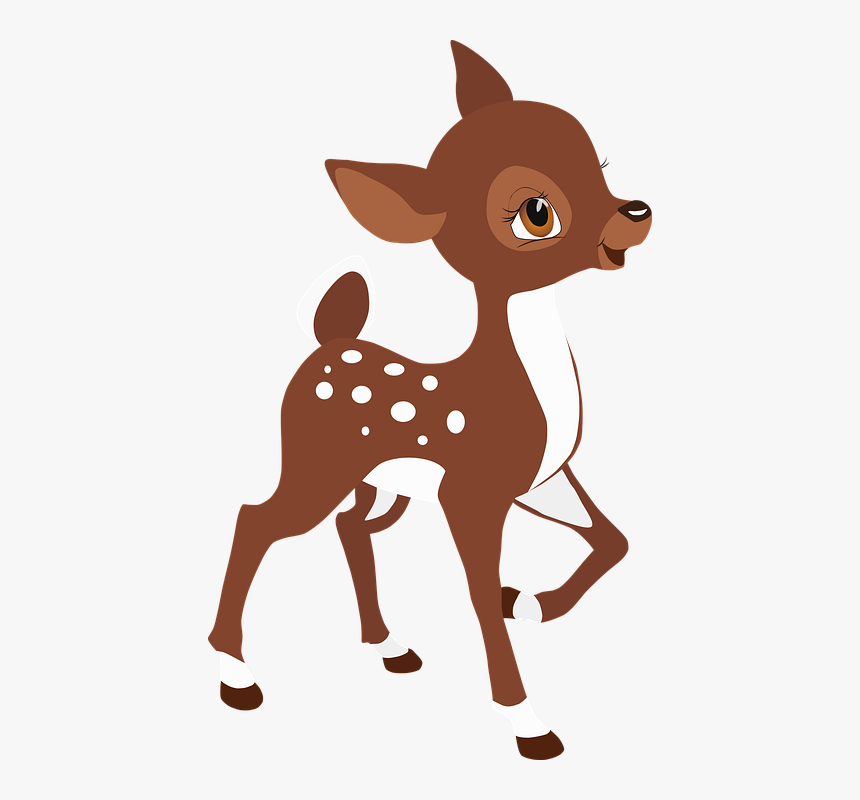 White-tailed Deer, HD Png Download, Free Download