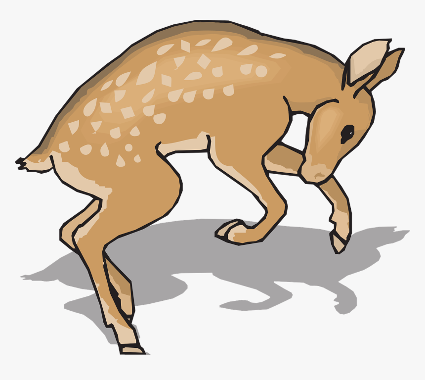 Fawn Animal Deer Free Photo - Gambar Rusa Kartun Hd, HD Png Download, Free Download