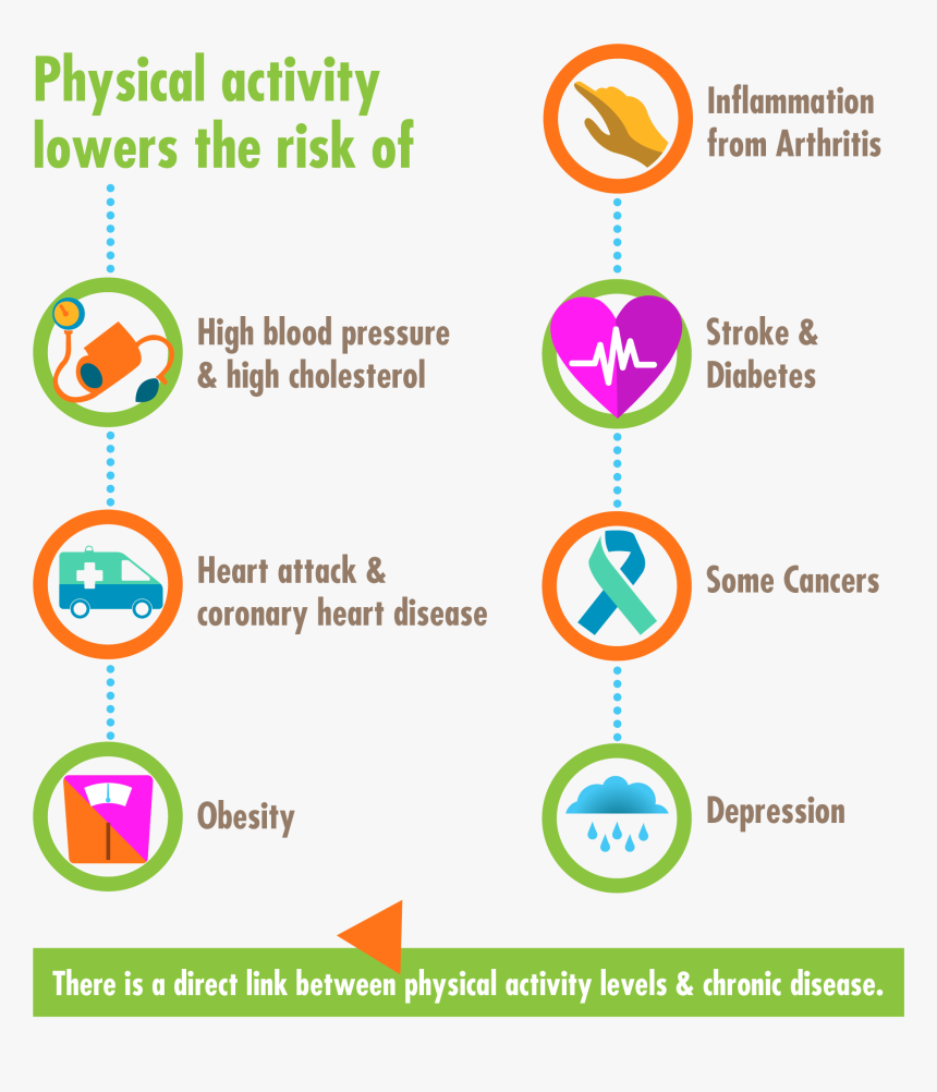 Health Risks Are Linked To Physical Inactivity, HD Png Download, Free Download