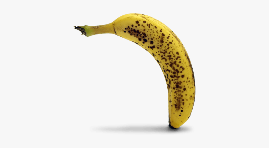 Bananas Transparent Rotten - Rotten Banana Transparent Background, HD Png Download, Free Download