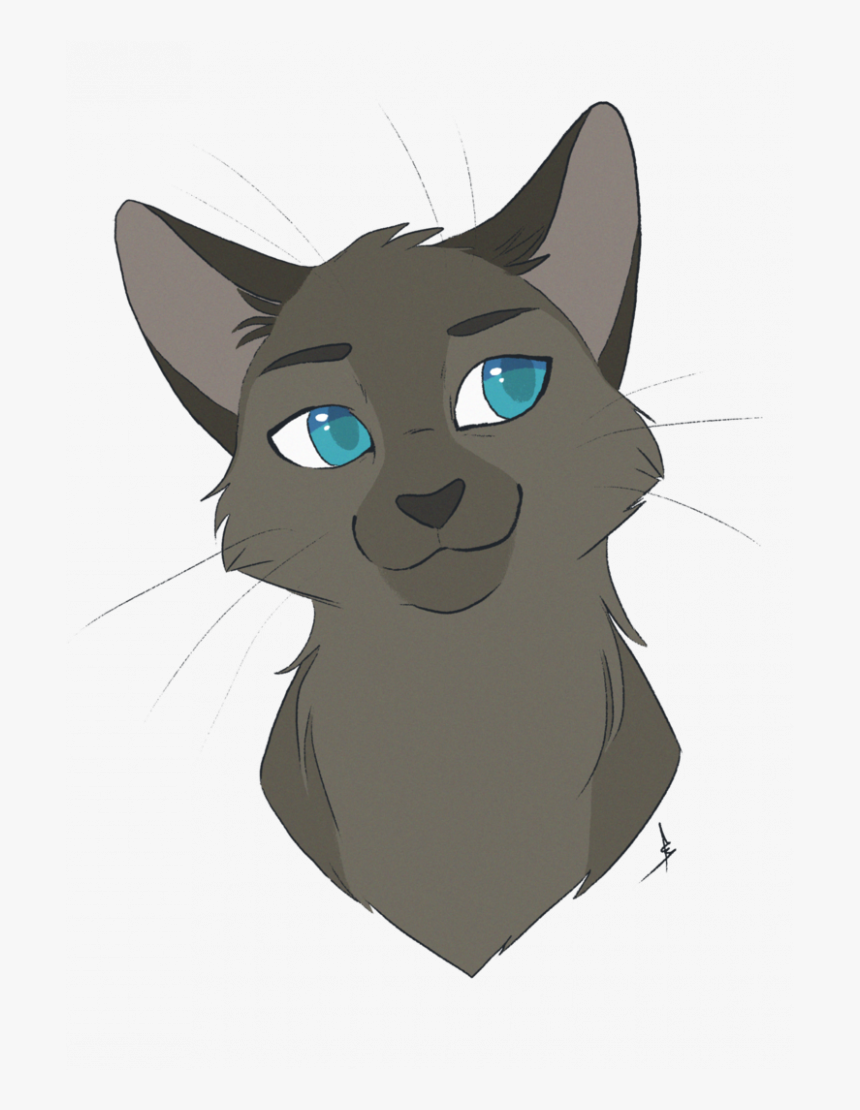 Transparent Cat Drawing Png - Anime Warrior Cat Drawing, Png Download, Free Download