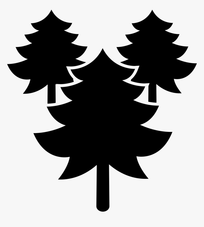 Pines Trees Forest - Portable Network Graphics, HD Png Download, Free Download