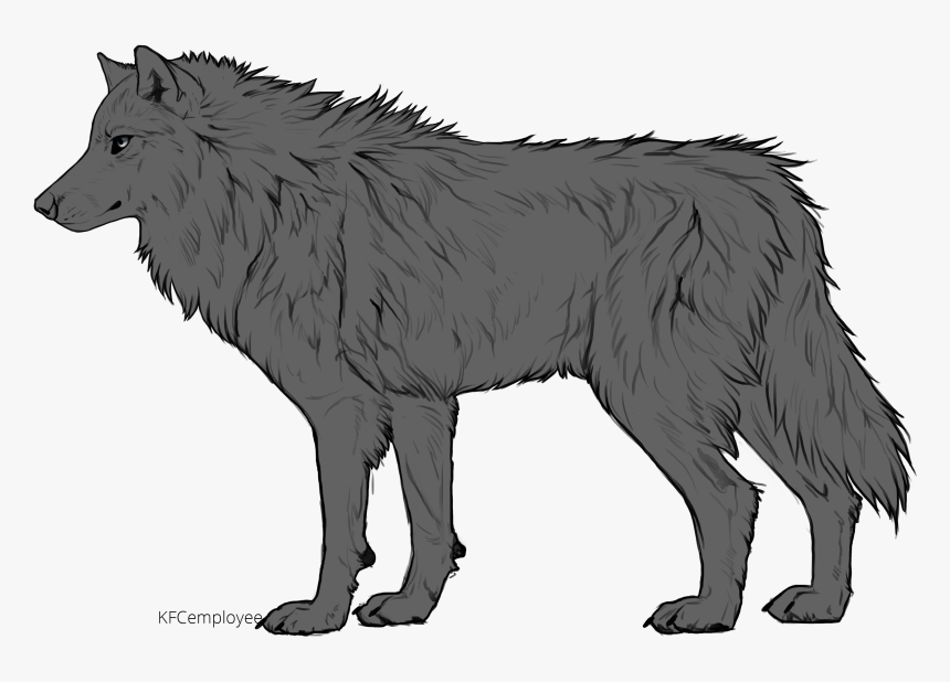 Collection Of Free Drawing Wolf Art Download On Ui - Wolf Carnivora Creations, HD Png Download, Free Download