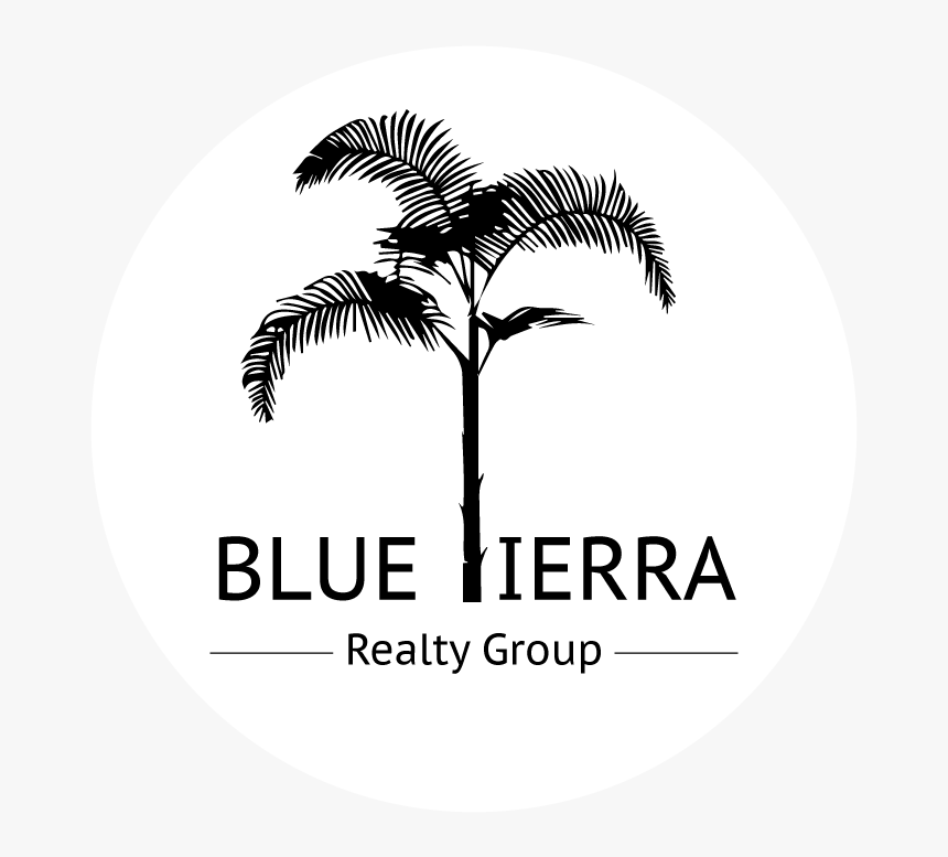 Blue Tierra Realty Group - Attalea Speciosa, HD Png Download, Free Download