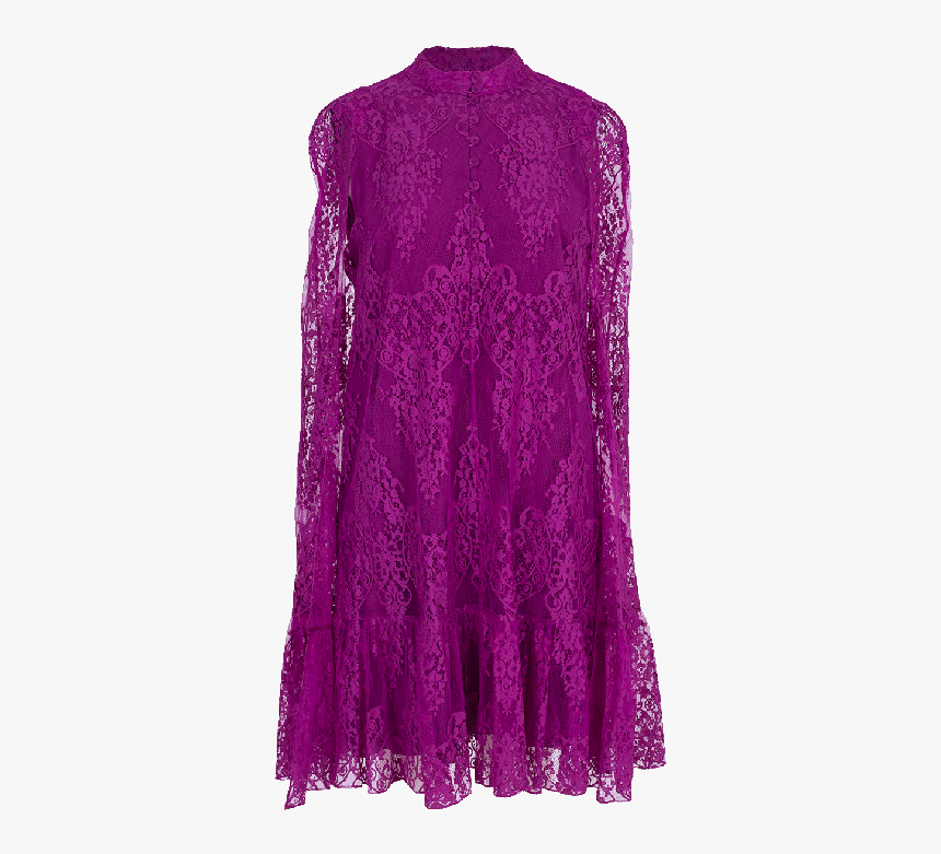Erdem Constantine Shirt Cape Dress In Purple - Lace, HD Png Download, Free Download