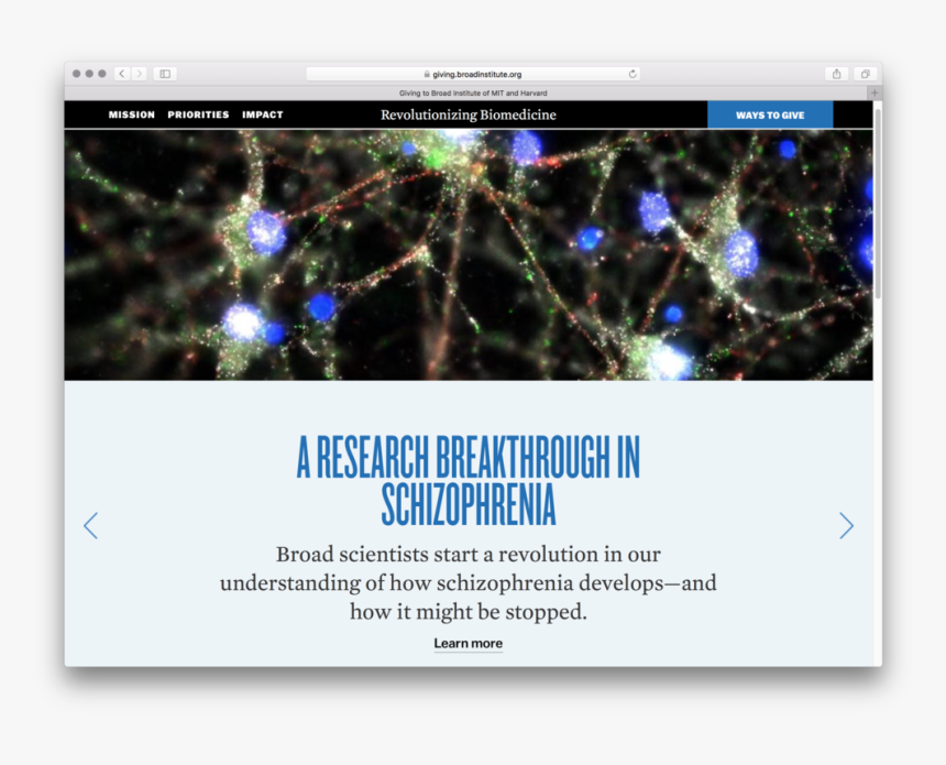 Broad - Synapse Schizophrenia, HD Png Download, Free Download