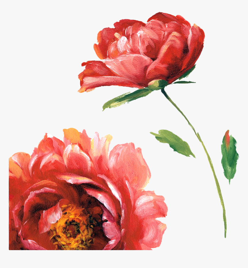 Free Photo - Red Watercolour Flower Png, Transparent Png, Free Download