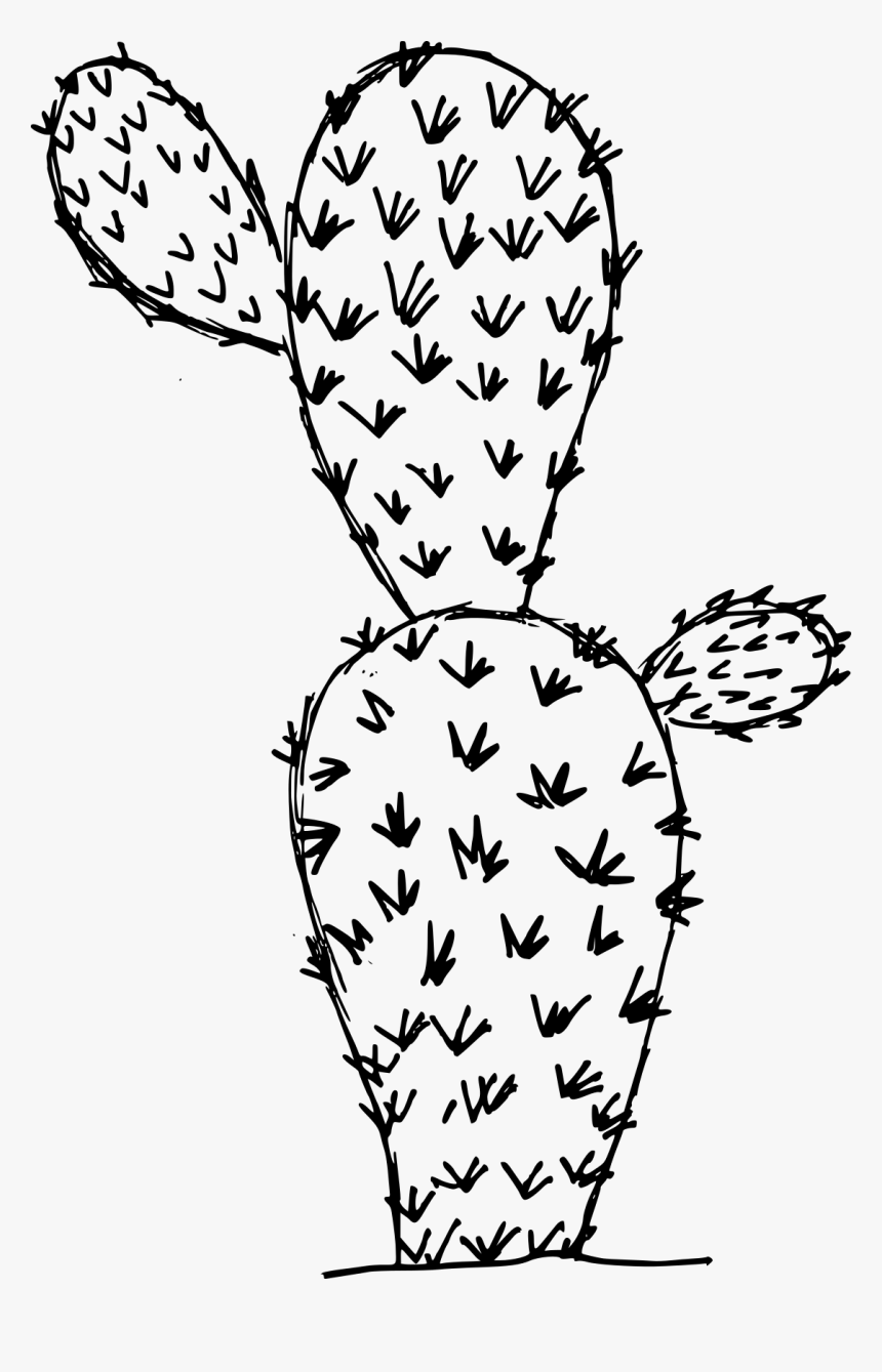 6 Cactus Drawing 4 - Illustration, HD Png Download, Free Download