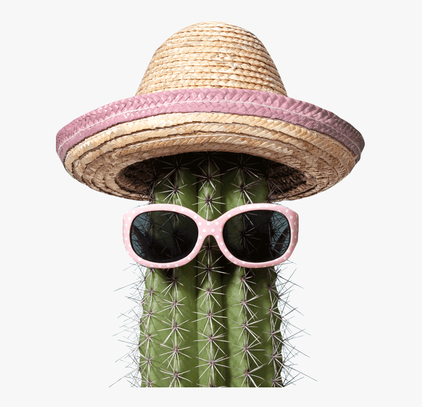 Mexico Humor, HD Png Download, Free Download