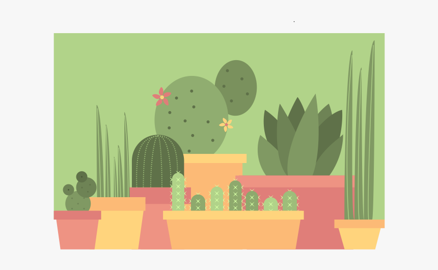 Cacti And Other Succulents Green Plant Succulents Cacti - Hedgehog Cactus, HD Png Download, Free Download