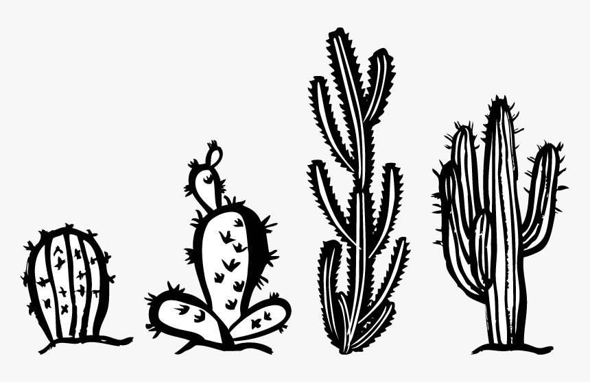 Cactus Bianco E Nero, HD Png Download, Free Download