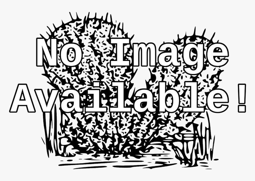 Cactus Clip Art, HD Png Download, Free Download