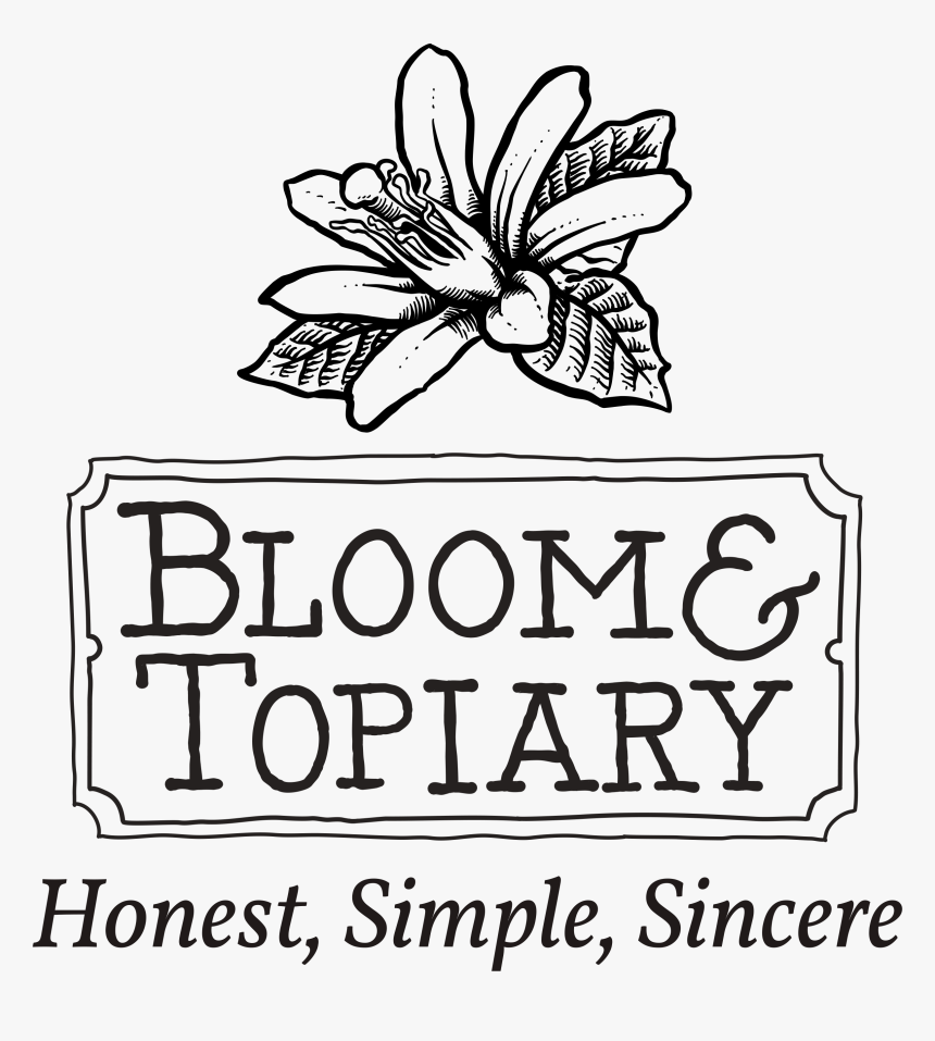 Siempre Tax, HD Png Download, Free Download