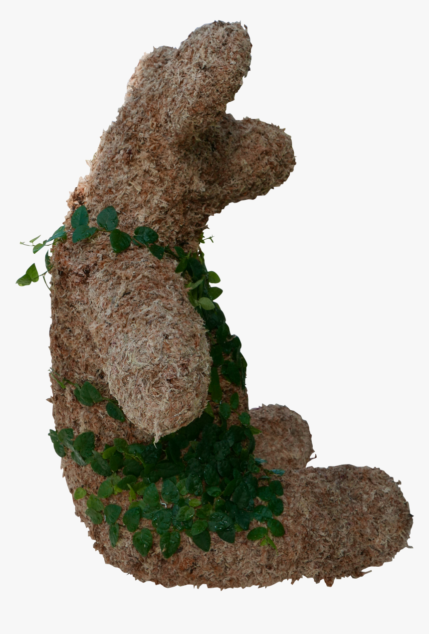 Grass, HD Png Download, Free Download