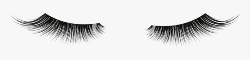 Eyelash Extensions, HD Png Download, Free Download