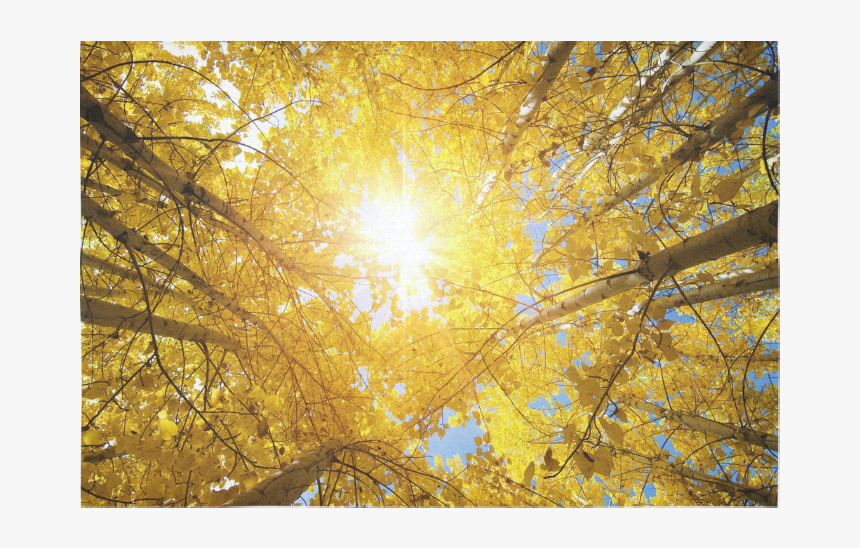 Autumn Tree Nature Cotton Linen Wall Tapestry 60"x, HD Png Download, Free Download