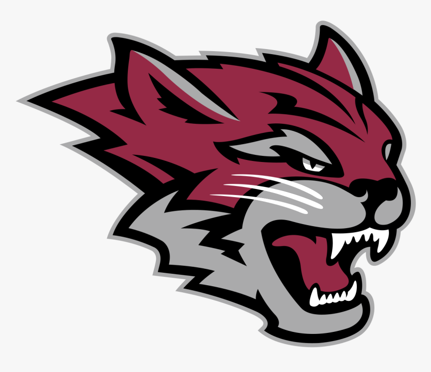 Wildcat Svg Mascot - Chico State Wildcats Logo, HD Png Download, Free Download