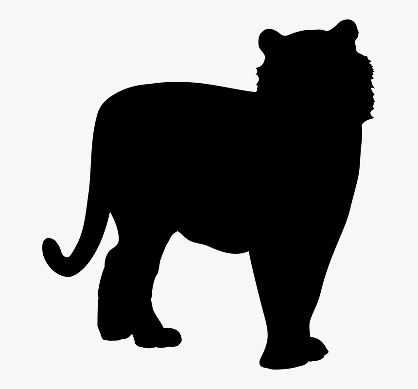 Tiger Silhouette Png - Toger Siholette Png, Transparent Png, Free Download