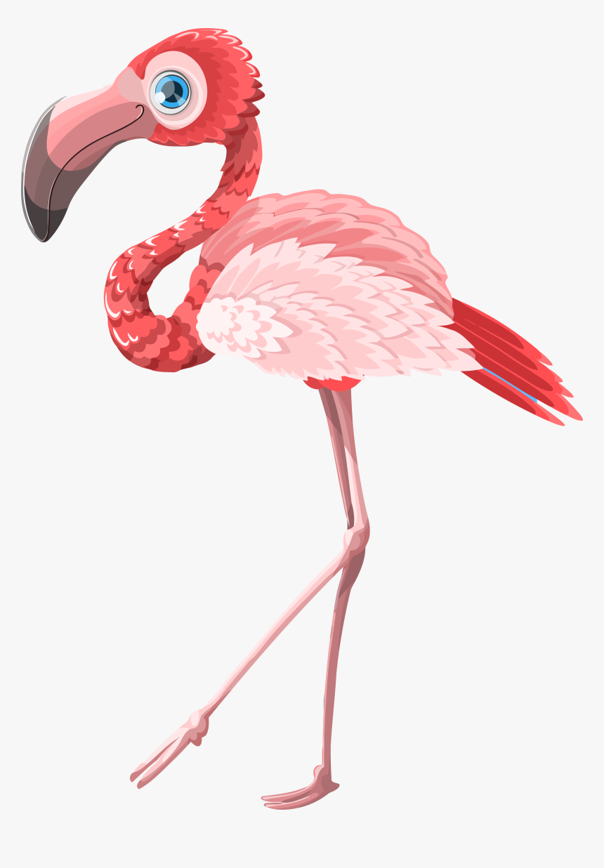 Flamingo Clipart Png - Flamingo Mug, Transparent Png, Free Download