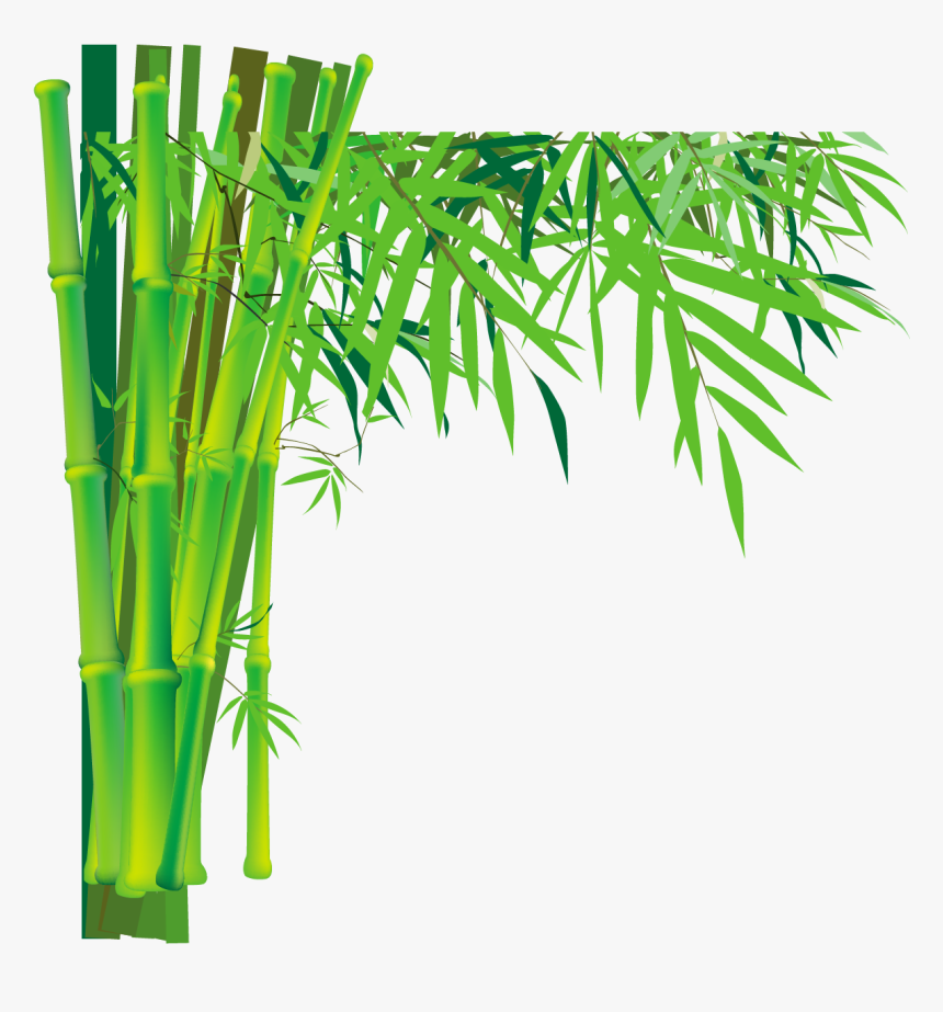 Bamboo Png - Bamboo Design With No Background, Transparent Png, Free Download