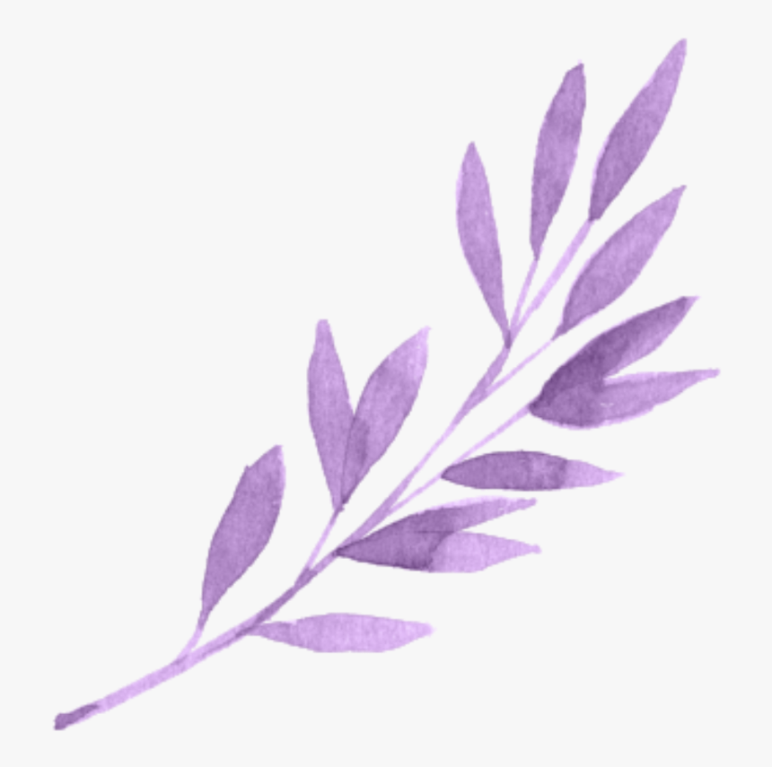 #violeta #purple #hoja #hojas #leaves #leave #kpop - Flowers Purple Aesthetic Png, Transparent Png, Free Download