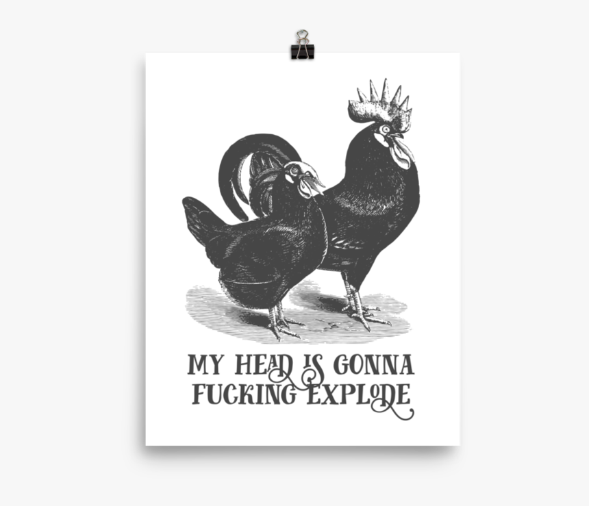 My Head Is Gonna Fucking Explode Poster"
 Srcset="data - Rooster, HD Png Download, Free Download