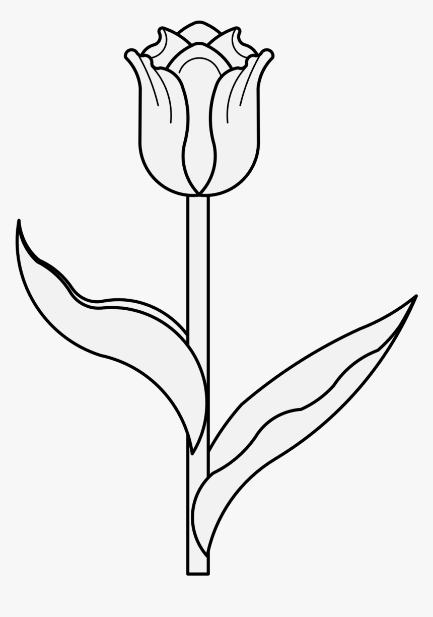 Clipart Tulip Stem Black And White, HD Png Download, Free Download