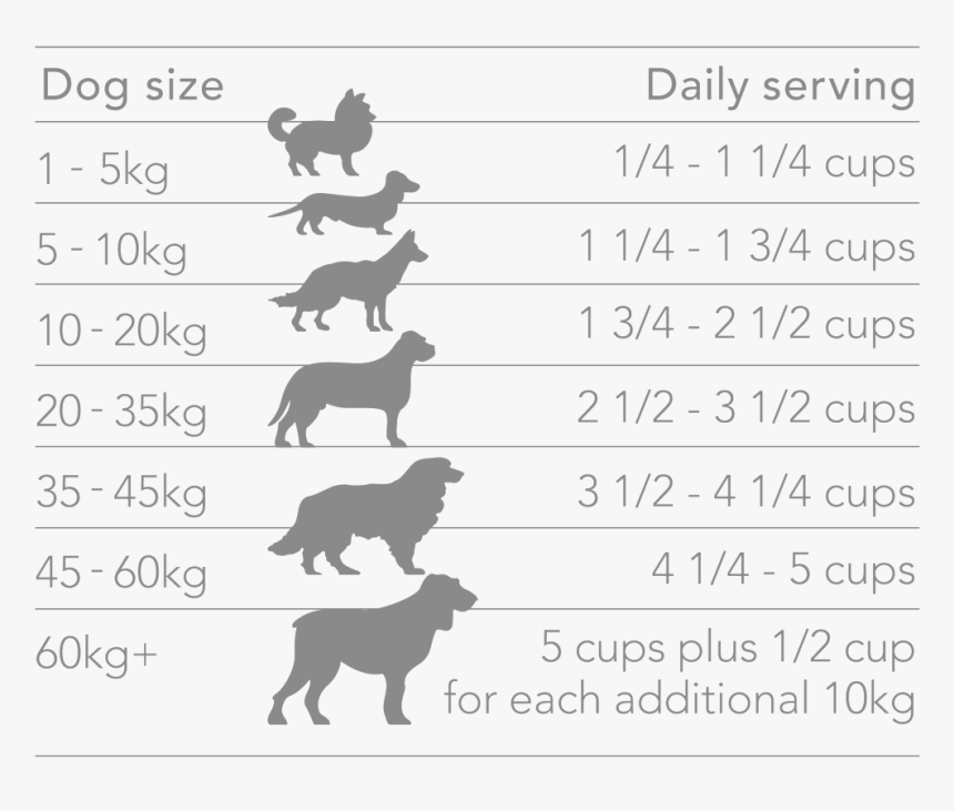 Chicken Feeding 01 01 - Big Is A 20 Kg Dog, HD Png Download, Free Download