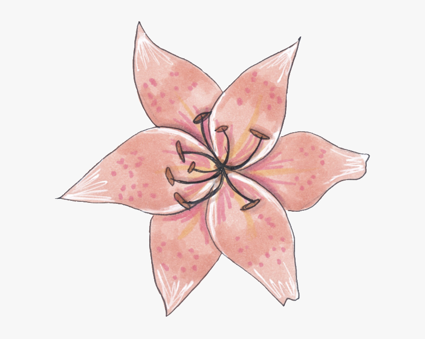 A Specimen Flower Png Transparent - Bromelia, Png Download, Free Download