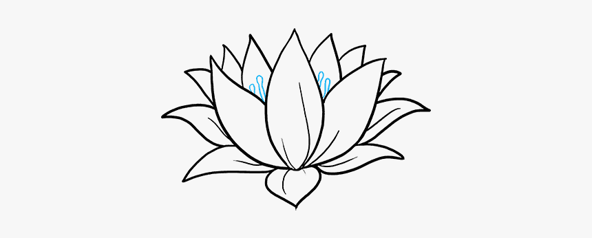 Lotus Flower Easy Drawing, HD Png Download, Free Download