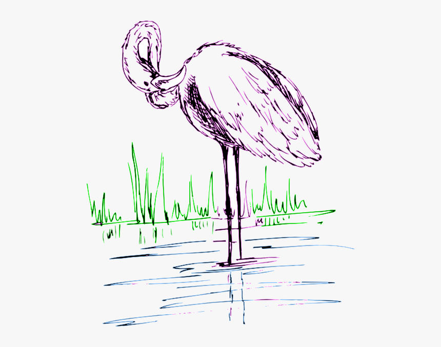 Transparent Flamingo Clipart Png - Flamingo, Png Download, Free Download