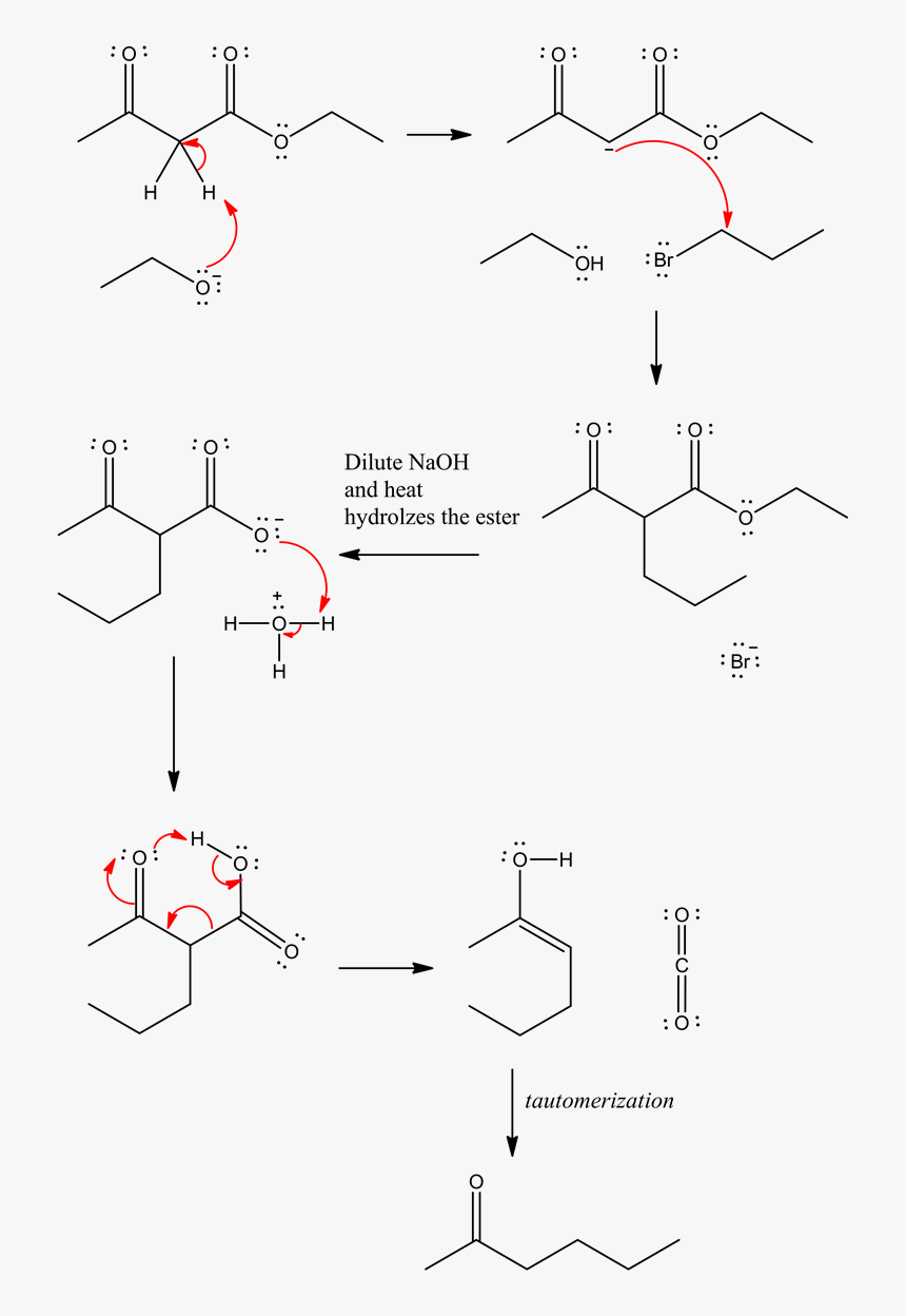 Diagram, HD Png Download, Free Download