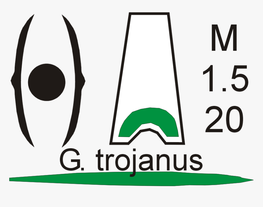 Poster Galanthus Trojanus, HD Png Download, Free Download