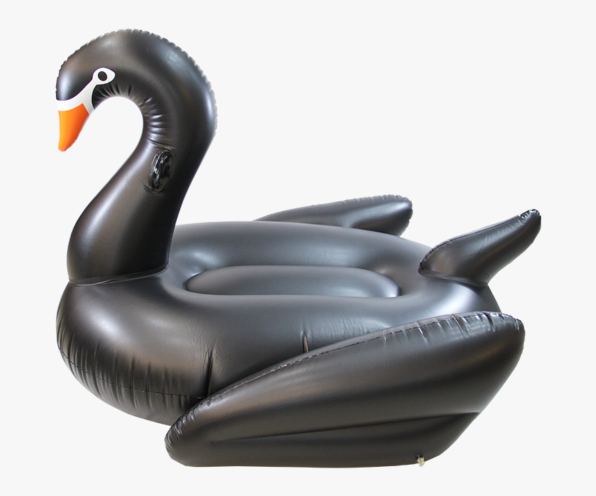 Duck, HD Png Download, Free Download