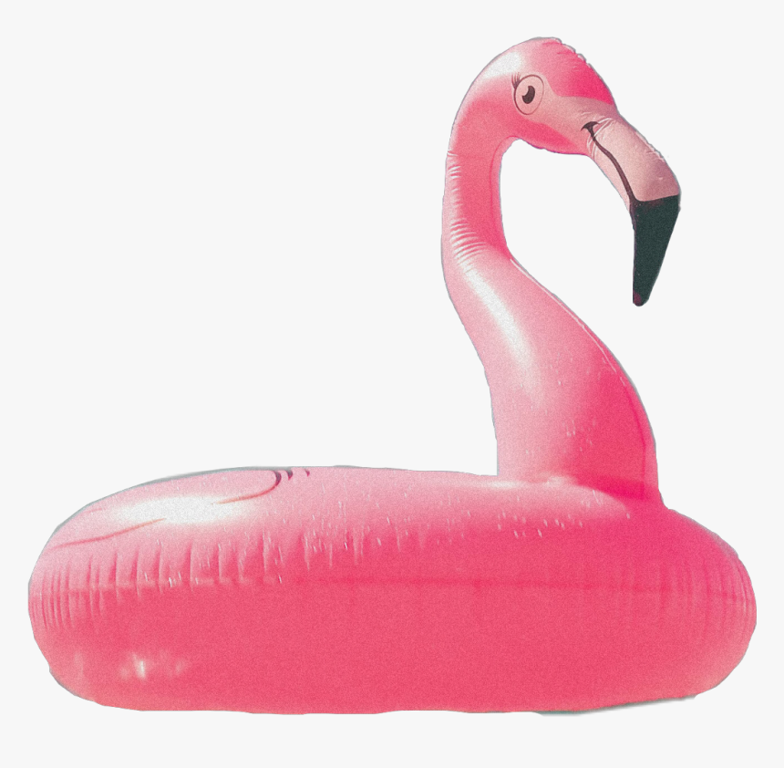 #flamingo #poolfloat #pool #aesthetic #aesthetic #object - Greater Flamingo, HD Png Download, Free Download