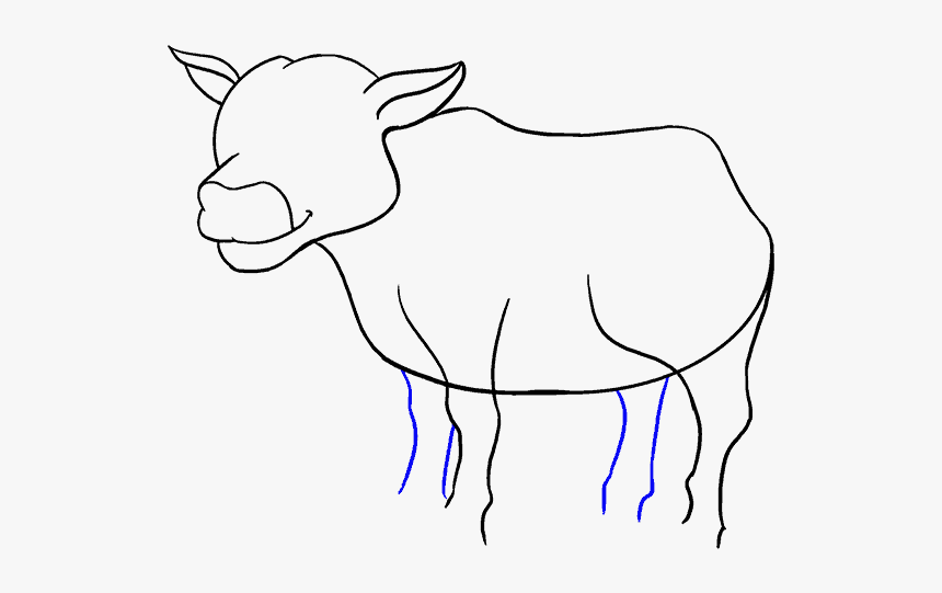 Cartoon Pictures Of A Cow - Draw A Cow Cartoon, HD Png Download, Free Download