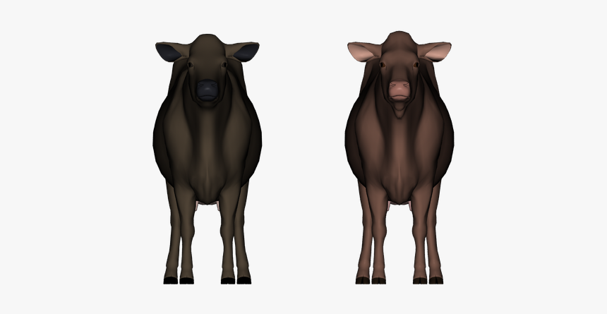 Bull, HD Png Download, Free Download