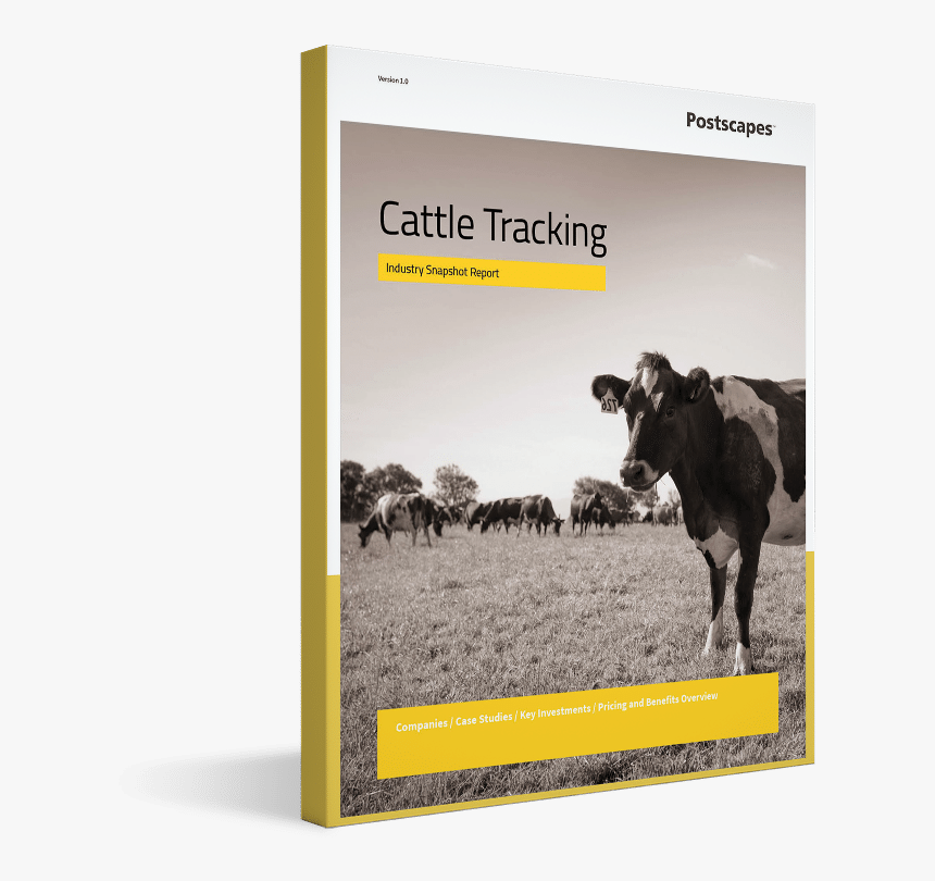 Cattle Tracking Cover - Working Animal, HD Png Download, Free Download