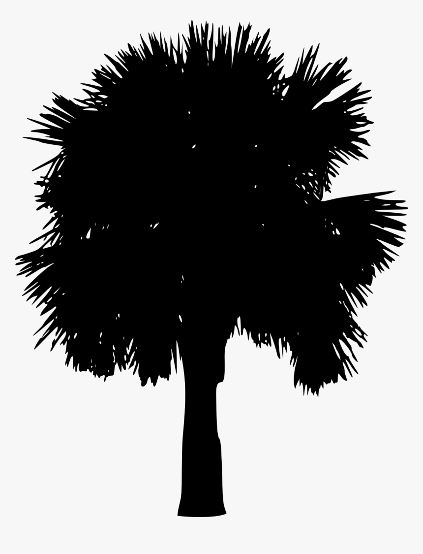 Transparent Palm Tree Silhouette Png - Silhouette, Png Download, Free Download