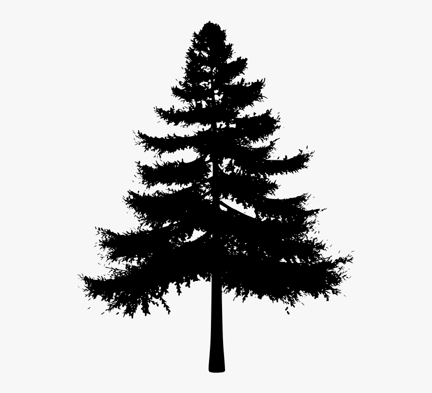 Photoshop Brush Tree Free, HD Png Download, Free Download