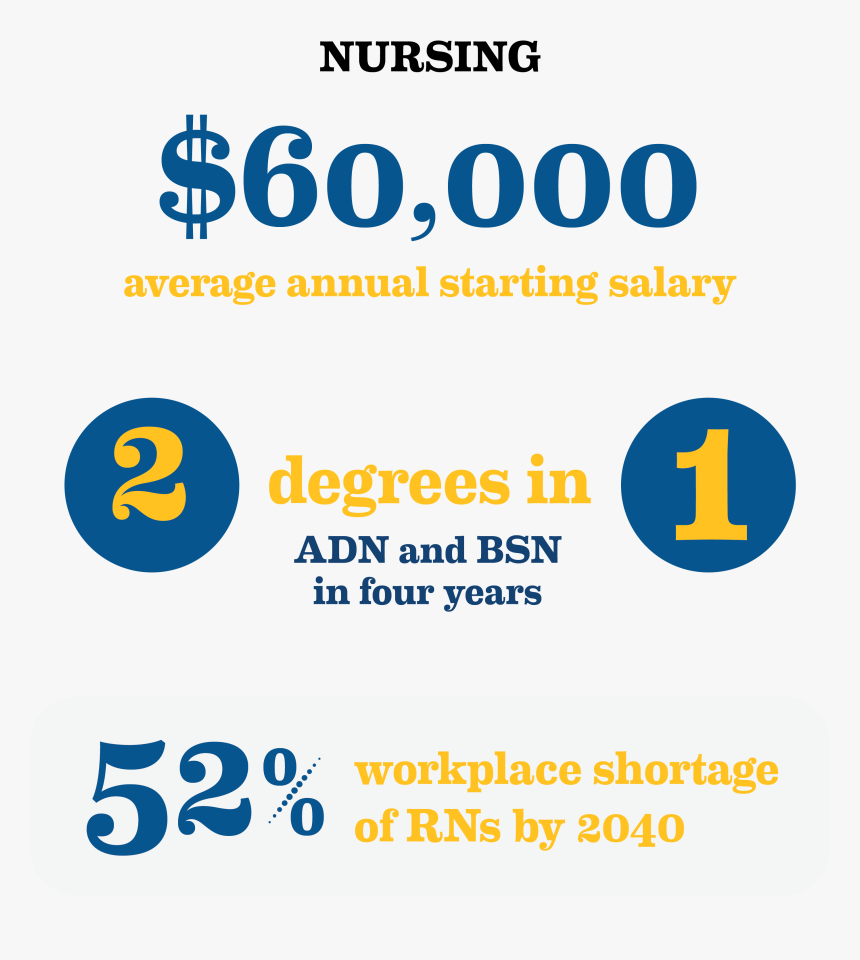 Nursing Statistics - Bsn Nursing, HD Png Download, Free Download