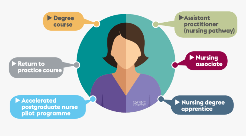 Routes To Nursing - Routes In To Nursing, HD Png Download, Free Download