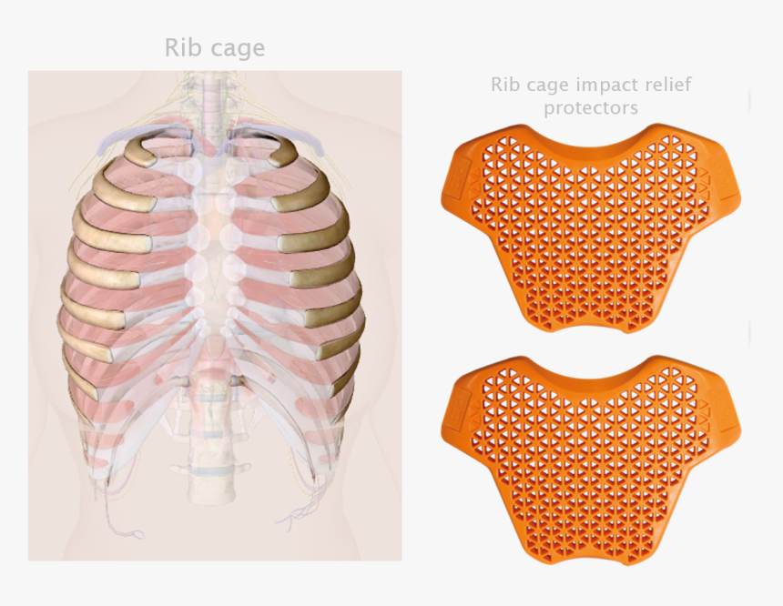 Rib Cage Impact Relief Protectors / Sport-gard Protectors - Blouse, HD Png Download, Free Download