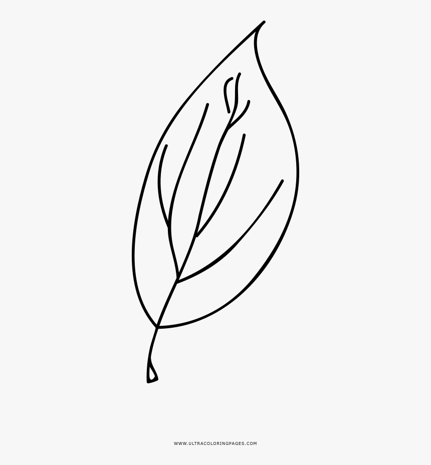 Tea Leaf Coloring Page - Line Art, HD Png Download, Free Download