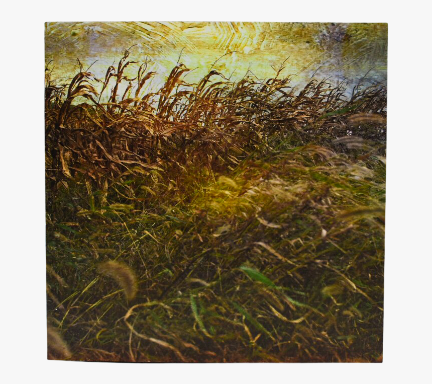 Vintage Cornfield Art Print"
 Class= - Grass, HD Png Download, Free Download